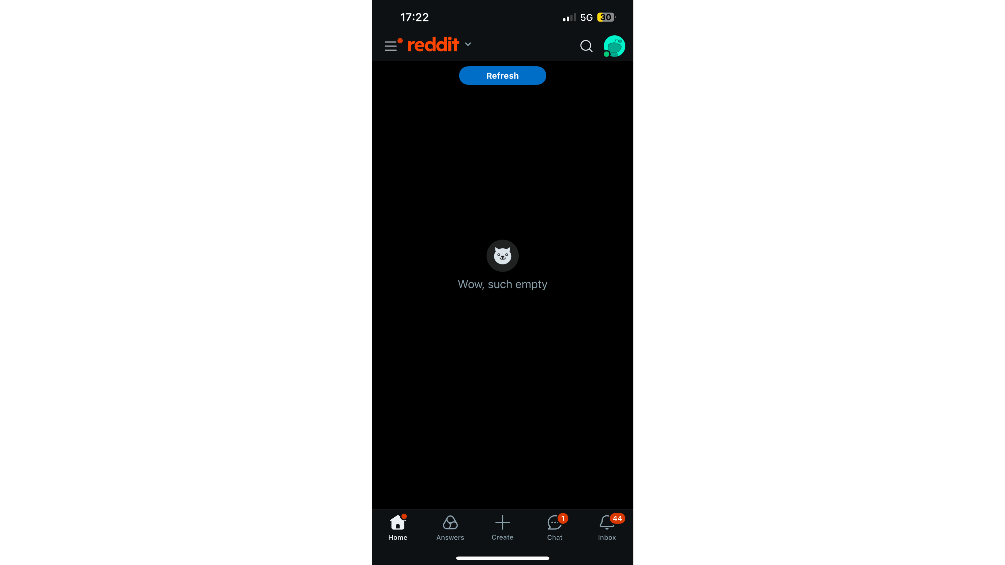 Reddit app on iOS not loading