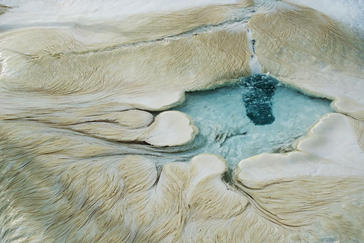 A terrestrial bacterium called Sulfurihydrogenibium yellowstonense makes its home in hot springs with conditions similar to certain areas on Mars. The bacteria trigger the formation of a rock type called travertine, which can form in pasta-like strands.