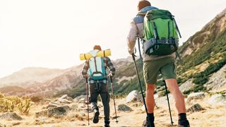 Two men hiking with poles