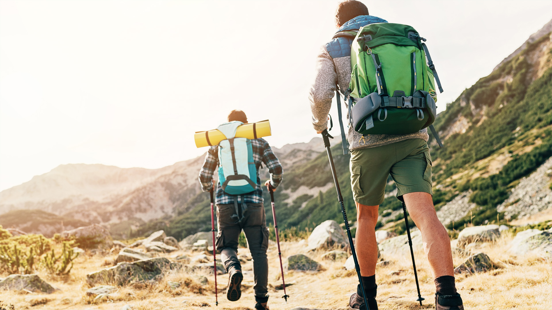 Trekking Poles and Hiking Staffs