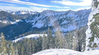 A snowy mountain scene with blue skies and pine trees; the sun is shining