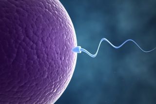 Reasons Sperm Counts Drop Low Sperm Counts Live Science