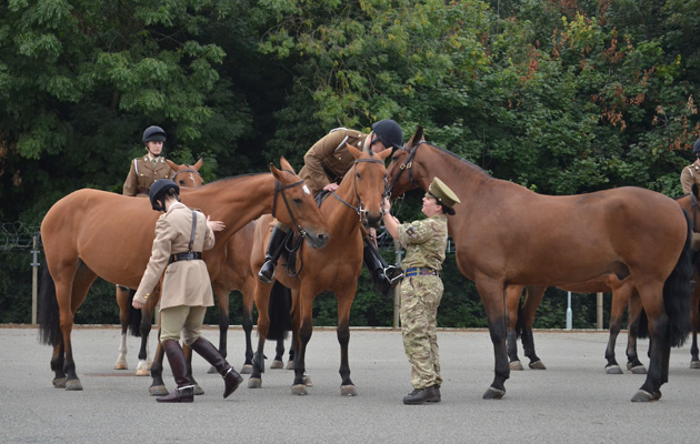 parade9