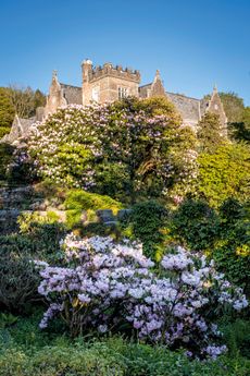 The Victorian Gothic house rising above a profusion of rhododendrons. Lukesland Gardens, Ivybridge, Devon. ©Mark Bolton