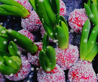 Close up of bulbs encased in red wax and fake snow flakes