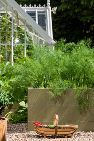 raised bed gardening mistakes