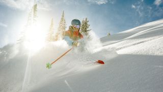A skier in deep powder