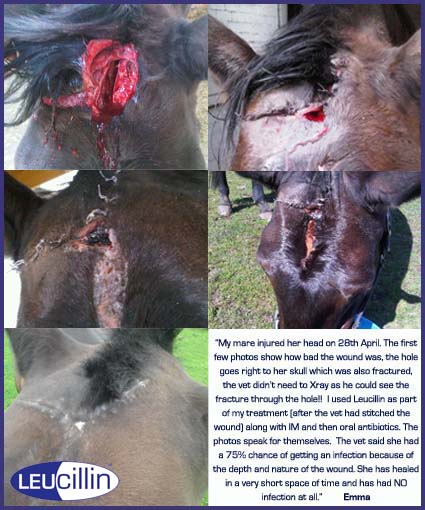 Horrible wound