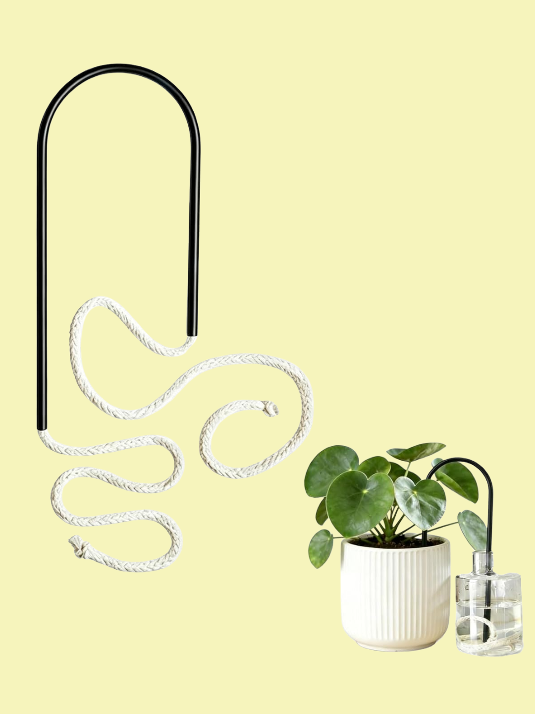 A black curved plant straw with a wick from Amazon