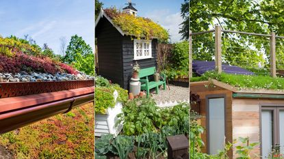 three examples of green roofs