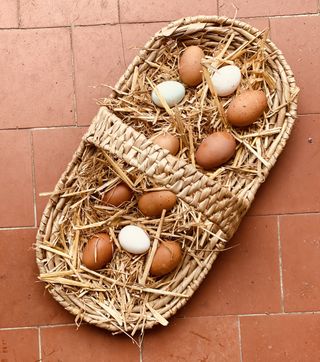 Clodagh McKenna raising chickens and eggs Easter tablescape