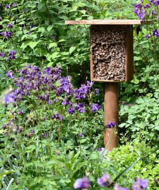 A bee hotel placed in a garden with flowers around