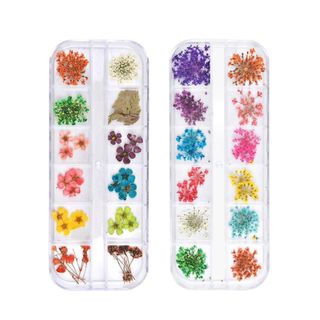 Amazon TEOYALL 24 Colours Dried Flowers for Nail Art