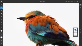 Photoshop for iPad