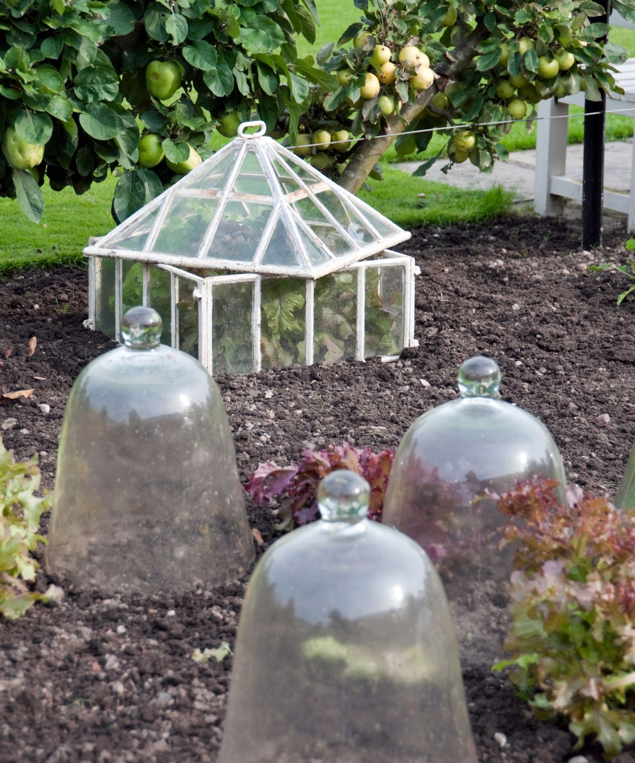 Cool frame and handles used to protect tender plants from frost