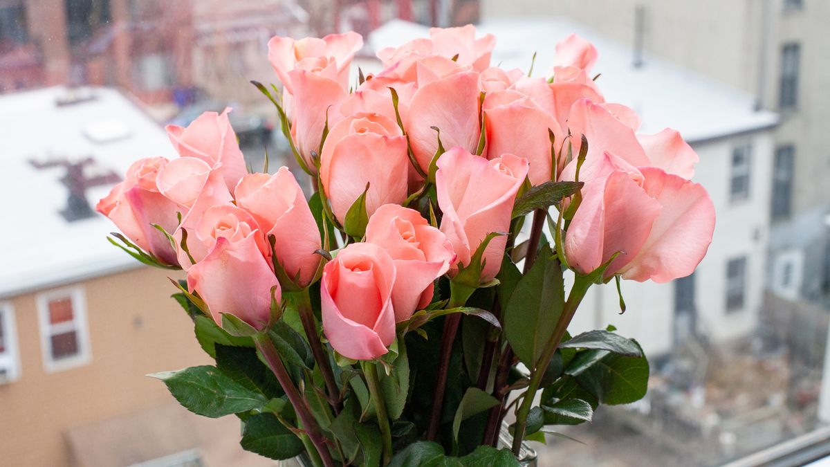 Valentine's Day flower delivery