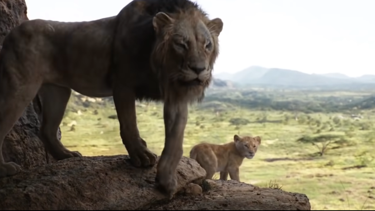 Mufasa: The Lion King: Release Date, Cast, And Other Things We Know ...