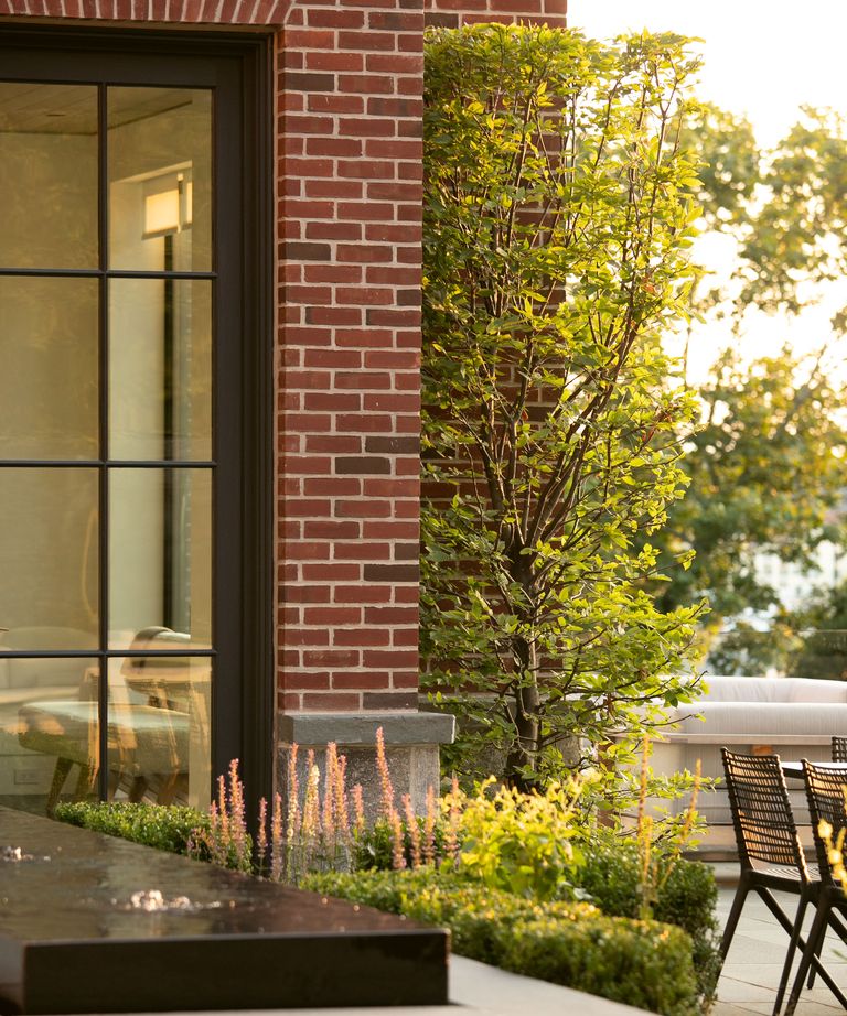 How to make a small backyard look bigger 12 designer ideas Livingetc