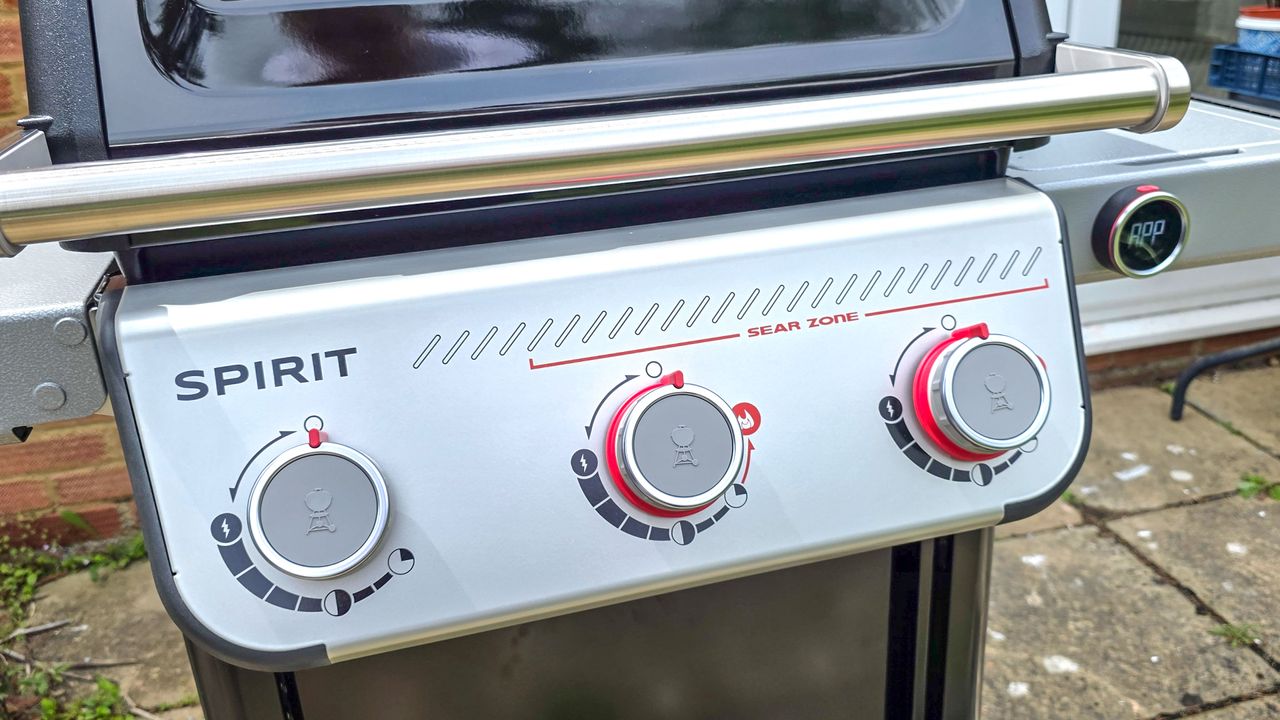 Weber Spirit EX325 grilling foods