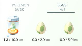 Pokemon Go Eggs
