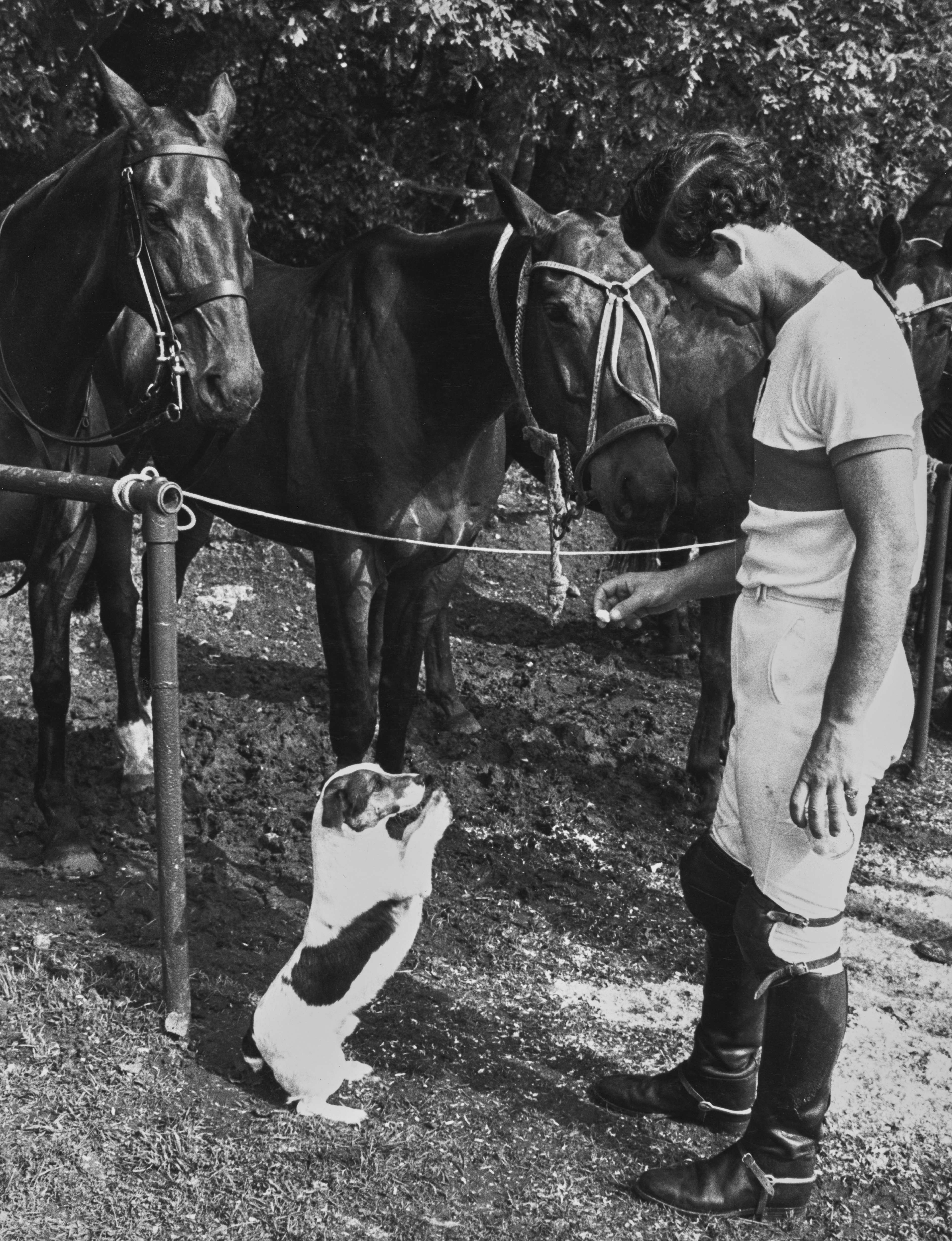 polo - charles and dog