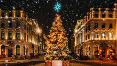 A large Christmas tree in the London city centre, lit up in the evening. 