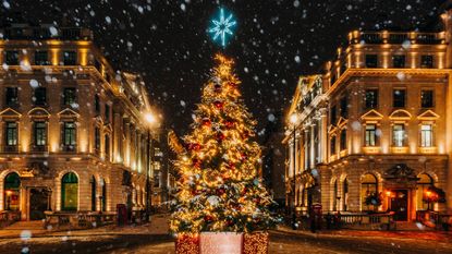 A large Christmas tree in the London city centre, lit up in the evening.