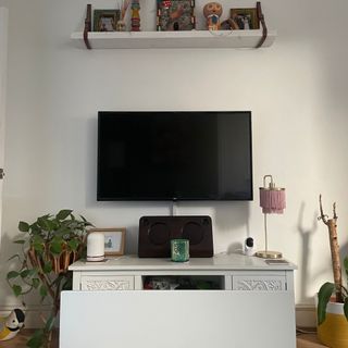 Aeno Premium Eco Smart Heater in a white living room, in front of a tv unit with plants either side