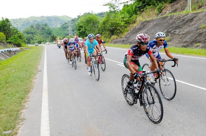 Palm fields are a common sight in the Tour of Borneo