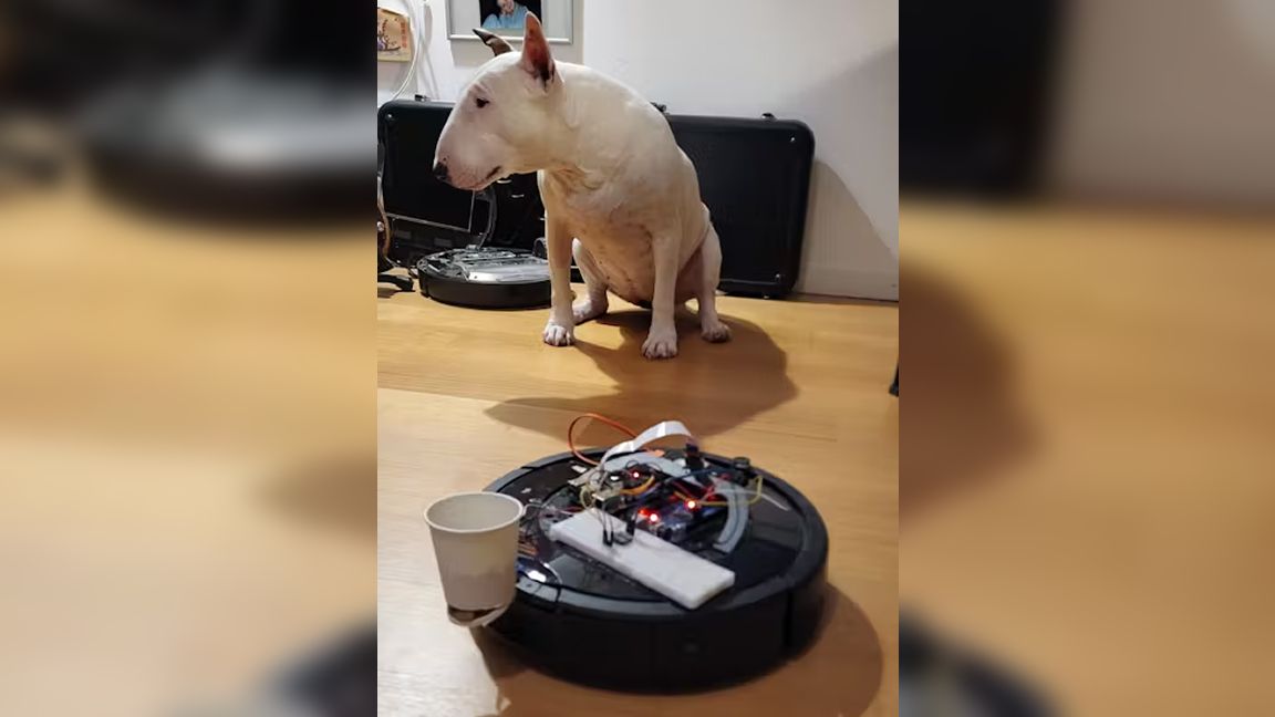 photo of Maker turns old Roomba vacuum into a Raspberry Pi-powered AI dog-feeding robot image