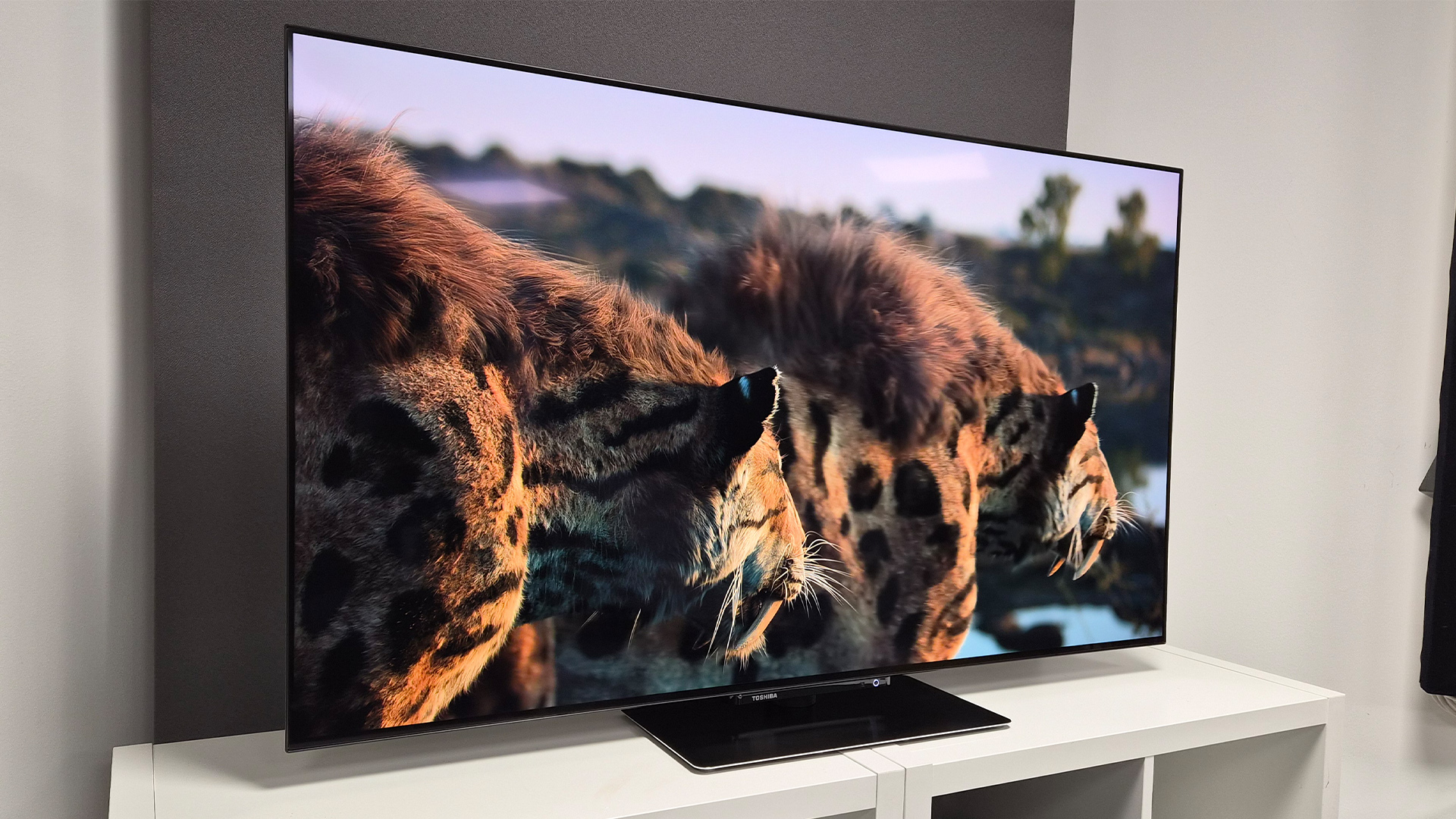 Toshiba XF9F OLED TV on white shelving unit, on screen are tigers