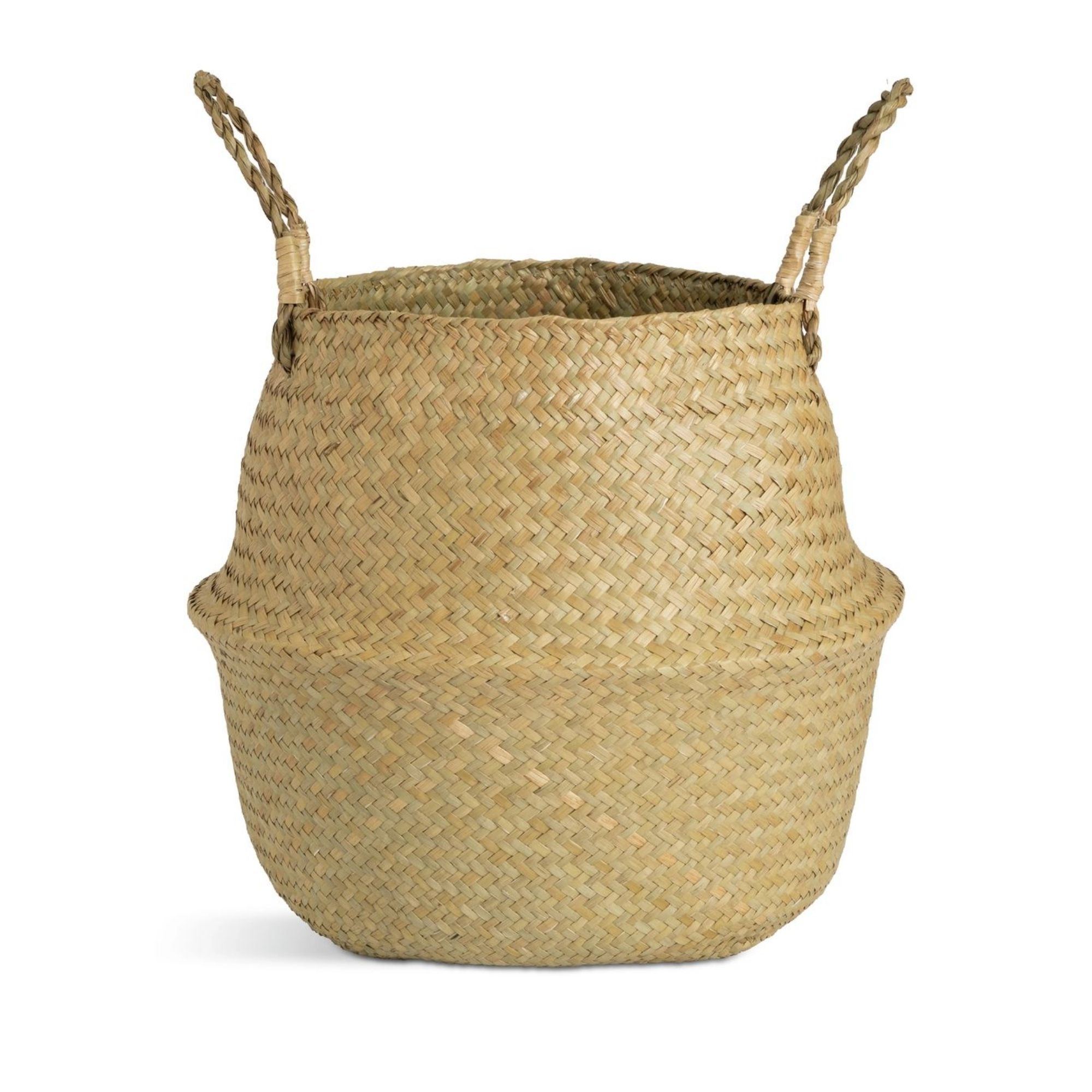 Habitat Seagrass Belly Basket