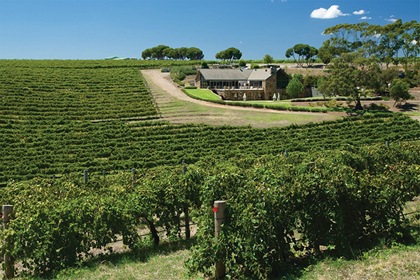 Chapel-Hill-winery-in-McLaren-Vale.jpg