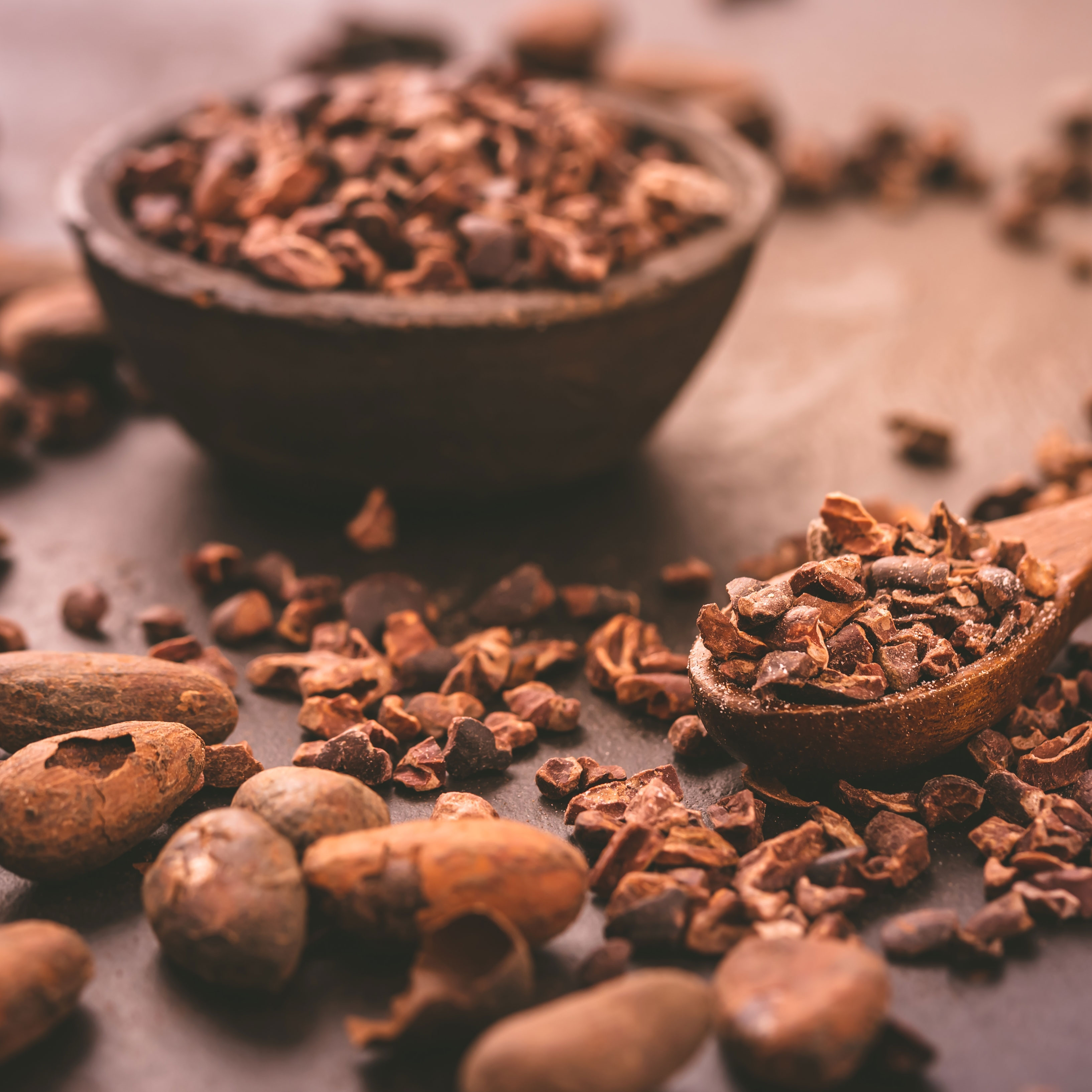 cocoa beans and crushed cocoa on spatula and in bowl