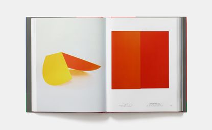Pony, 1959 (left) and Orange Red Relief, 1959, by Ellsworth Kelly