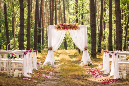 A wedding ceremony set up in the woods