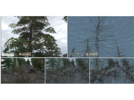 Tree trunks and thick branches are 3D objects: grass, leaves and twigs are simulated wallpapers.