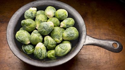 Harvested Brussels sprouts in a pan ready for cooking