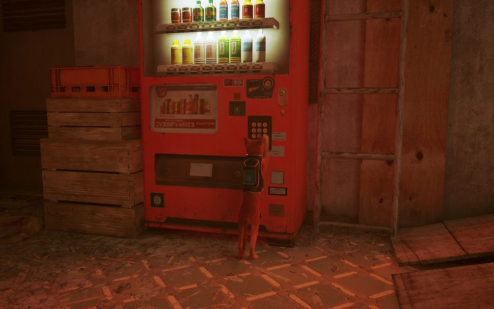 Stray Where to find all the energy drinks PC Gamer