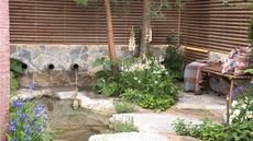 Plants to avoid growing if you don't want to attract mosquitoes