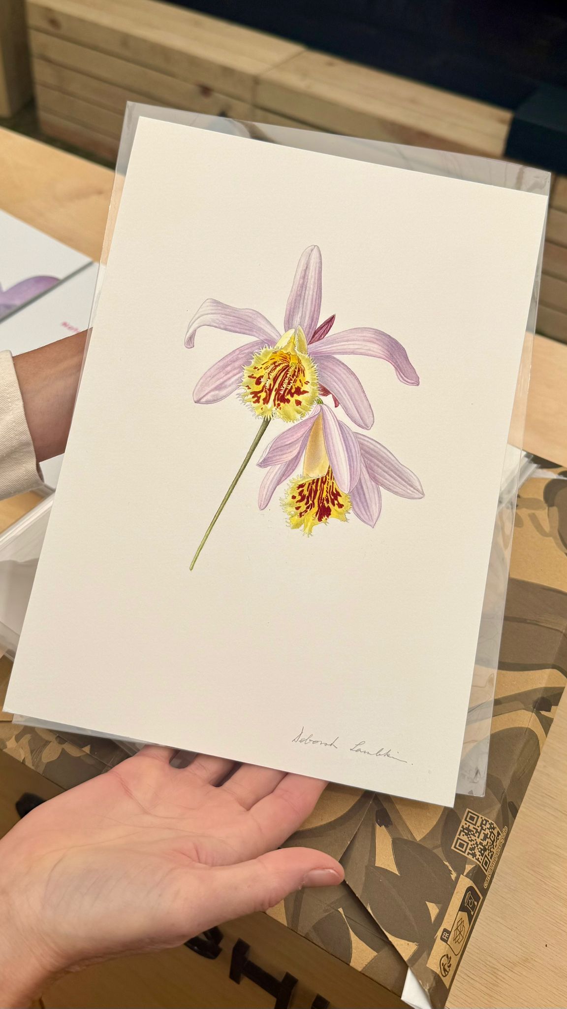 A delightful picture of an orchid