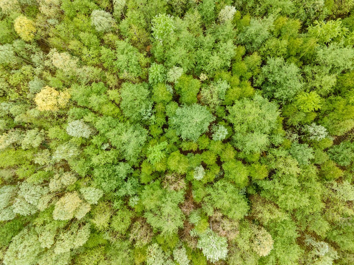 DJI Mavic Air 2 stills image quality