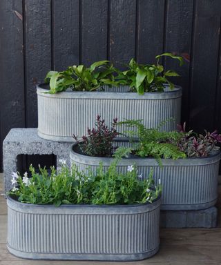 galvanised metal window box planters with green plants