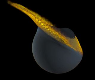 This computer illustration depicts a collision between Earth’s moon and a companion moon that is 750 miles wide and about 4 percent of the lunar mass. This late, slow accretion could explain the moon's farside highlands, scientists say.