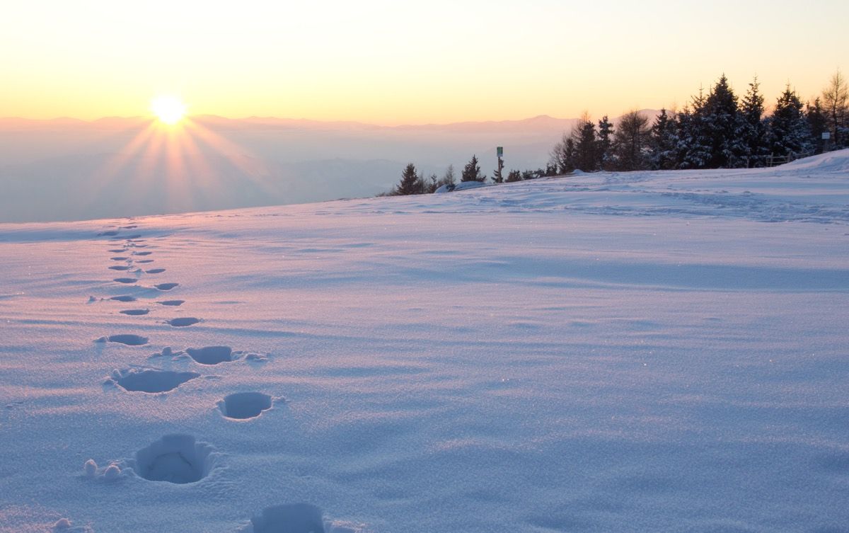 Footprints in the snow.