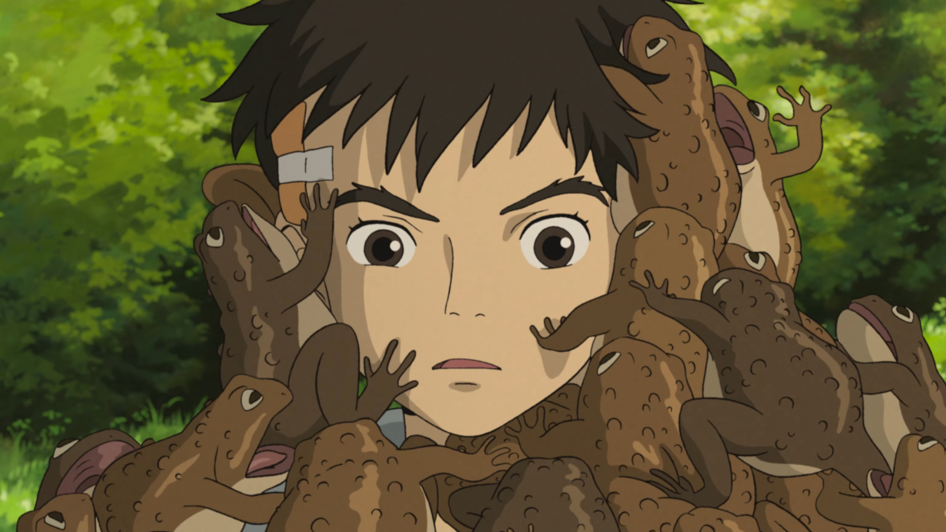The Boy and the Heron trailer reveals darkest Studio Ghibli movie yet -  Dexerto
