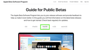 macos big sur public beta how to install