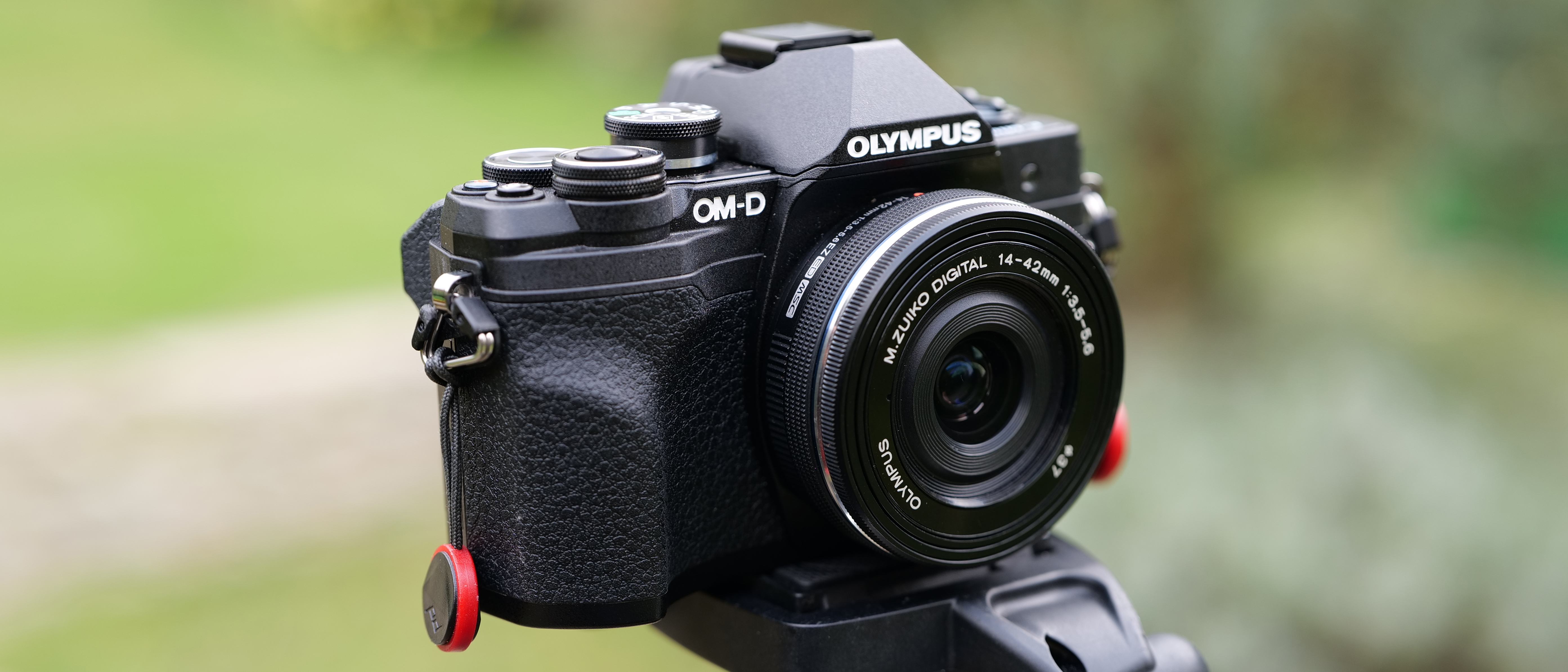 Et Olympus OM-D E-M10 Mark IV på stativ med en grøn have i baggrunden