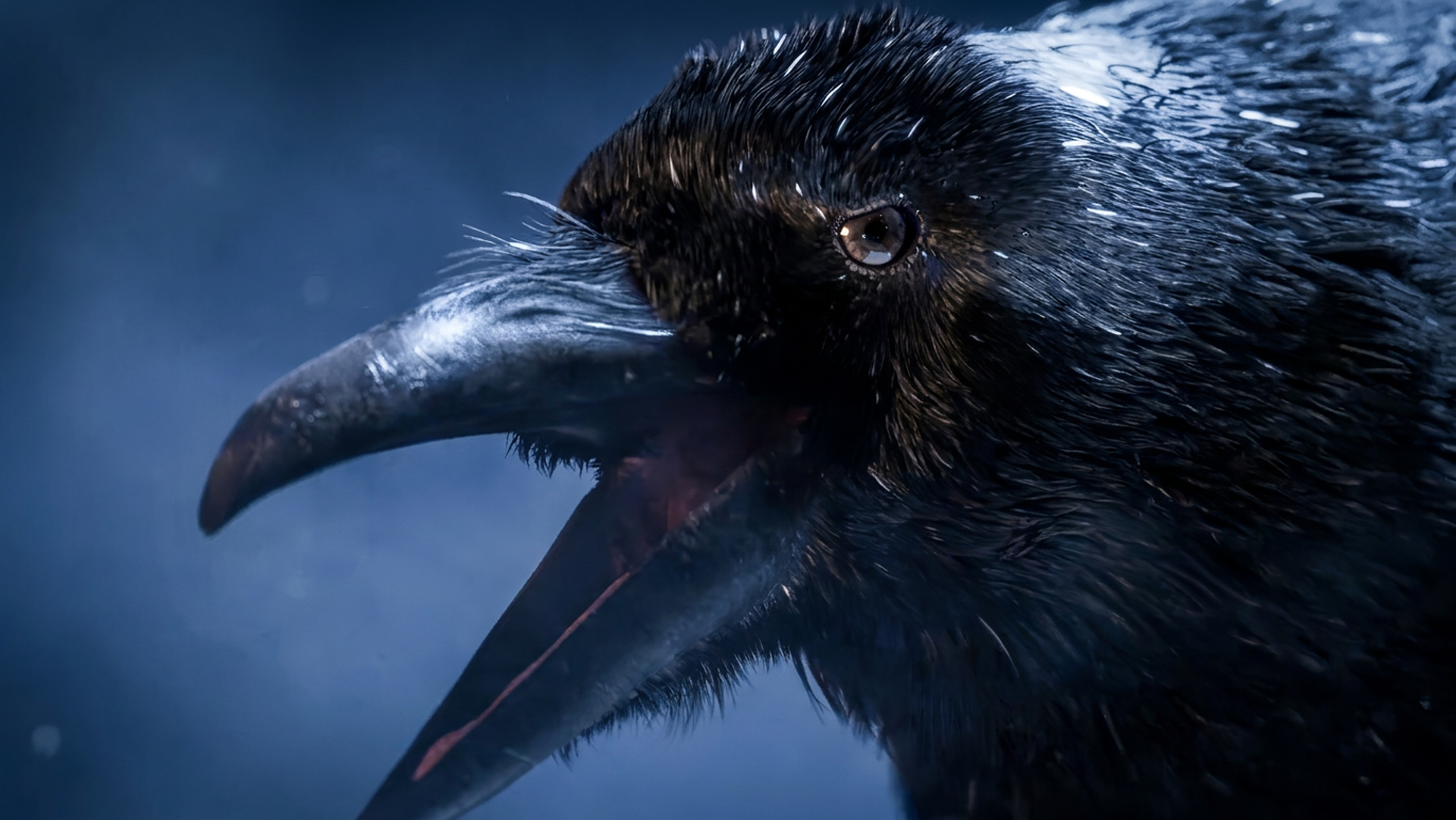 Dead by Daylight &ndash; crow