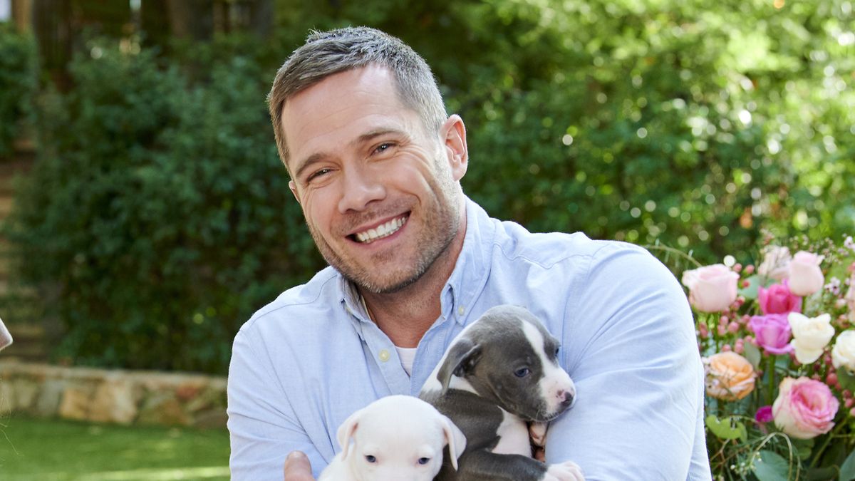 Luke Macfarlane for Hallmark